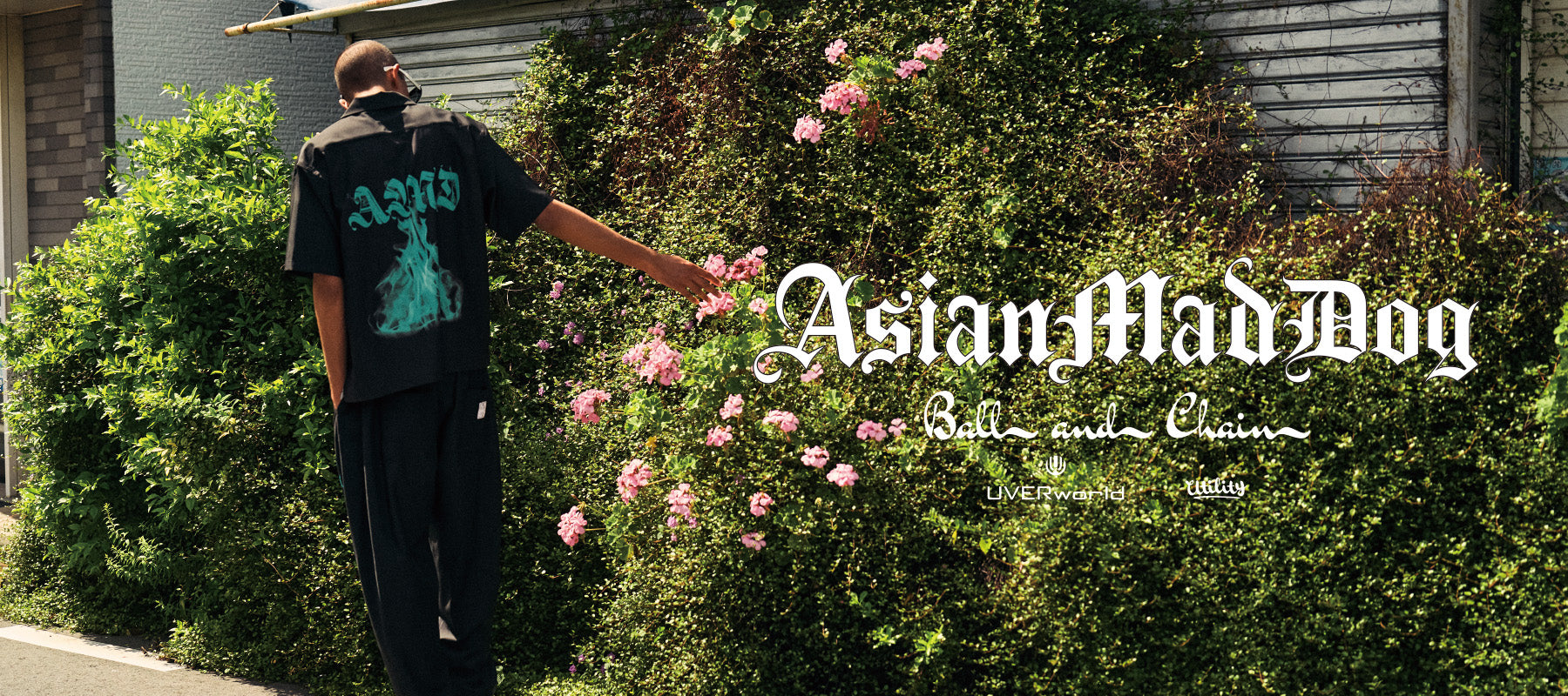 Asian Mad Dog 2025 limited Collection – utility-harajuku-jp