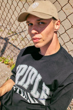 Triple Steal(トリプルスチール) TS logo CAP