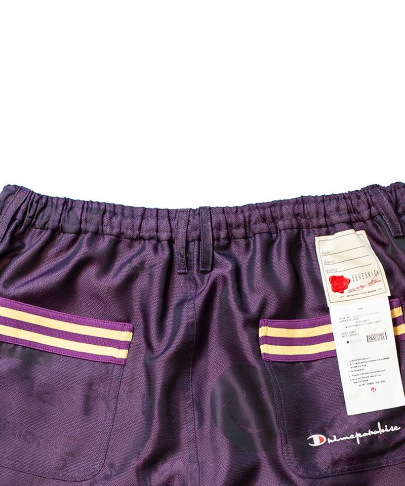 [予約商品2023SS] SEVESKIG/セブシグ/ Iimitation mesh S.F.O Half pants